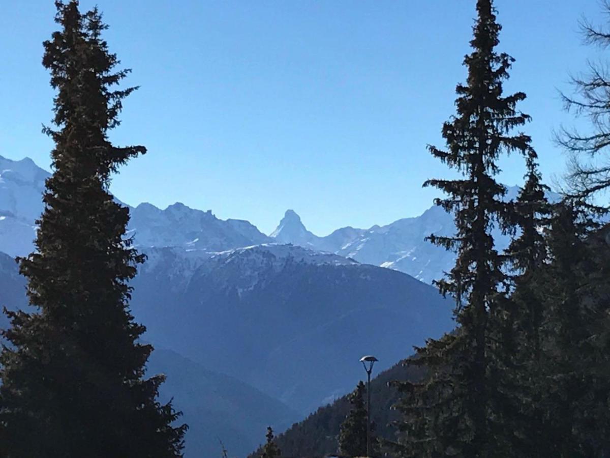 Schoenegg Studio Riederalp Luaran gambar